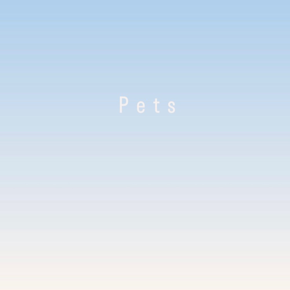 Puppy and Small Dog Items